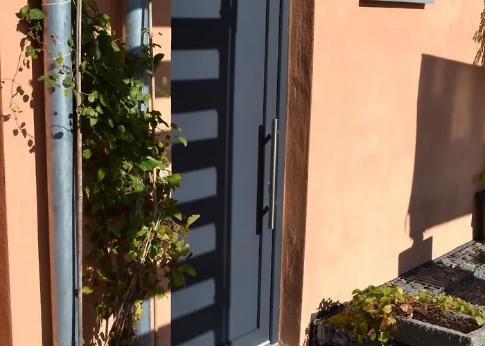 校园寄宿旅馆 公寓式酒店